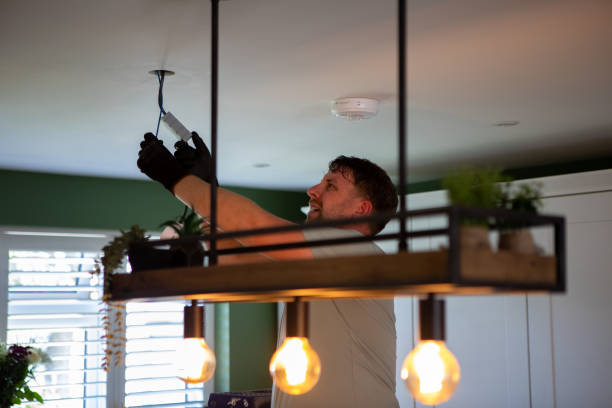 Best Electric Panel Repair  in Rushford, MN