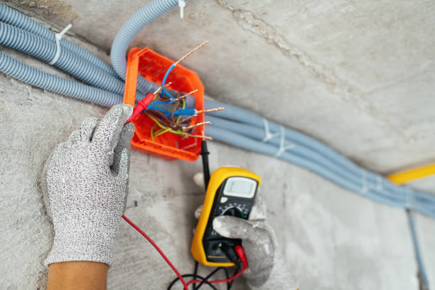Best Electrician for Home Renovation  in Rushford, MN